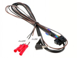 Radiolead für Connects2 Multilead.2-L 80cm Kabel